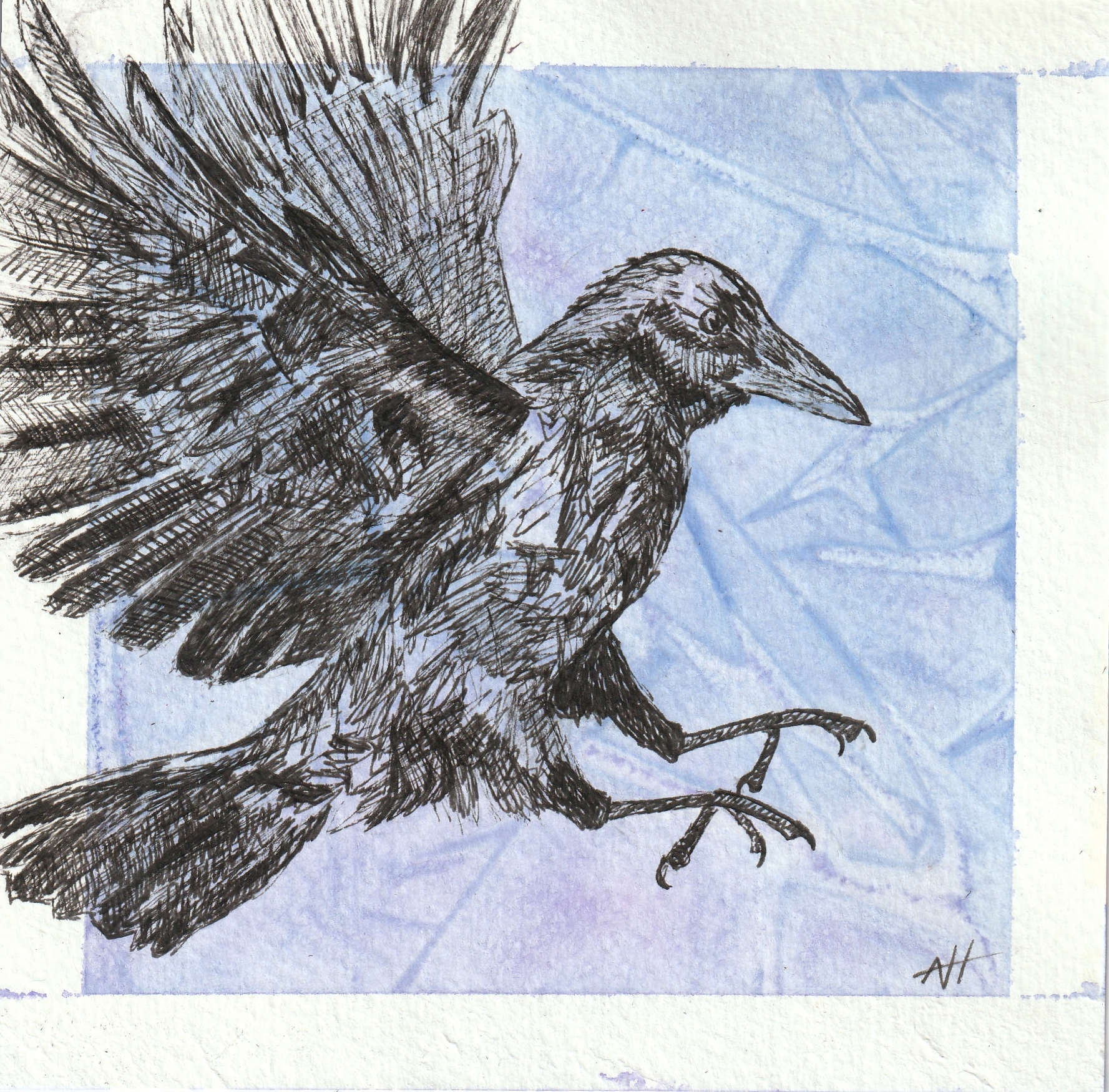 Flying Crow